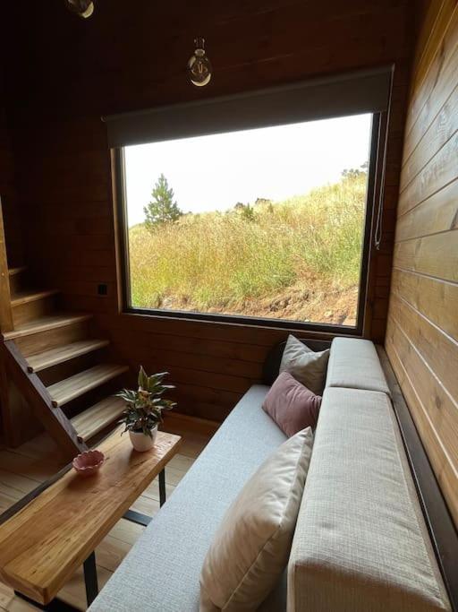 Hotel Mountain Eco Shelter 4 à Funchal  Extérieur photo